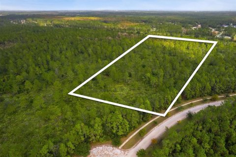 Land in Palm Coast, Florida № 1443030 - photo 3