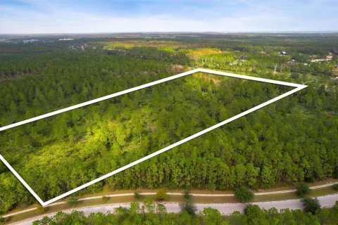Land in Palm Coast, Florida № 1443030 - photo 7