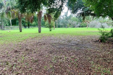 Villa ou maison à vendre à Wimauma, Floride: 3 chambres, 136.75 m2 № 2273280 - photo 24