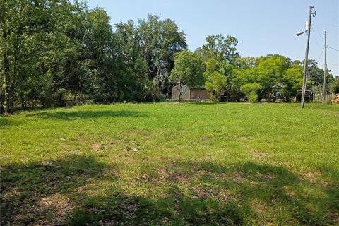 Land in Intercession City, Florida № 1736628 - photo 1