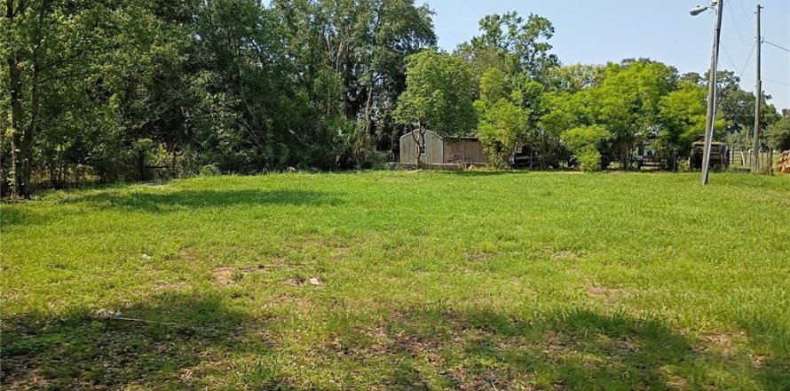 Land in Intercession City, Florida № 1736628