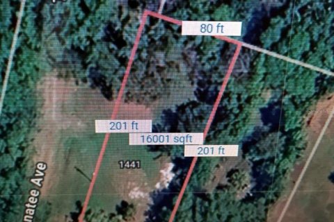 Land in Intercession City, Florida № 1736628 - photo 7