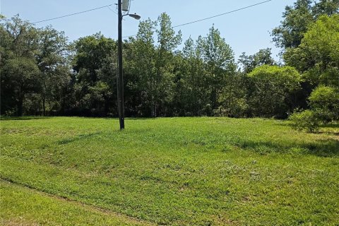 Land in Intercession City, Florida № 1736628 - photo 4