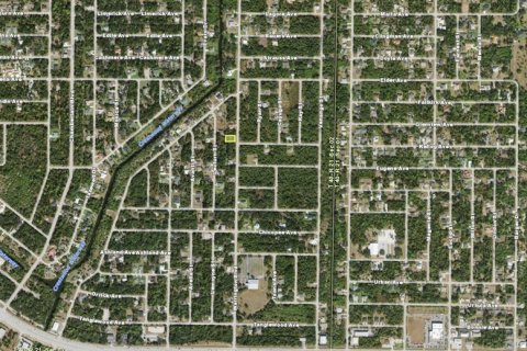 Land in Port Charlotte, Florida № 2371790 - photo 3