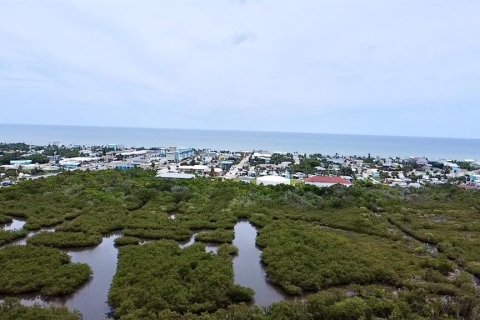 Townhouse in Flagler Beach, Florida 2 bedrooms, 111.11 sq.m. № 1813184 - photo 17
