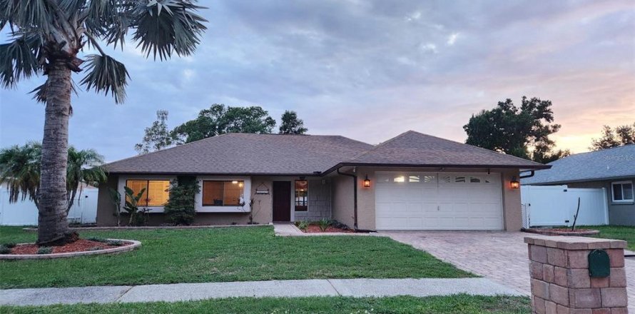 House in Tampa, Florida 3 bedrooms, 143.53 sq.m. № 2100300