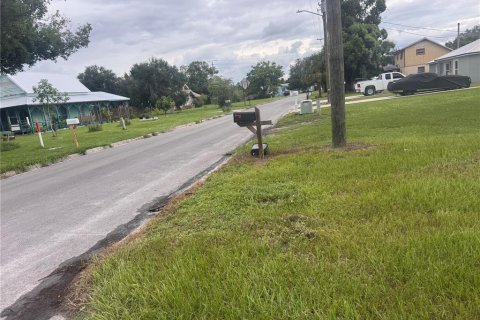 Купить земельный участок в Аркадия, Флорида № 1912970 - фото 8