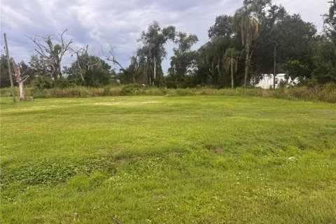 Купить земельный участок в Аркадия, Флорида № 1912970 - фото 1