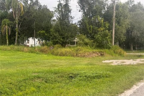 Купить земельный участок в Аркадия, Флорида № 1912970 - фото 6