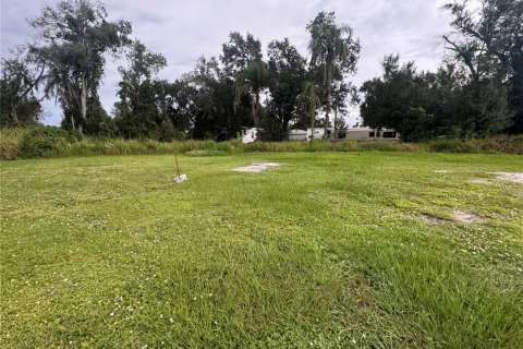 Купить земельный участок в Аркадия, Флорида № 1912970 - фото 4