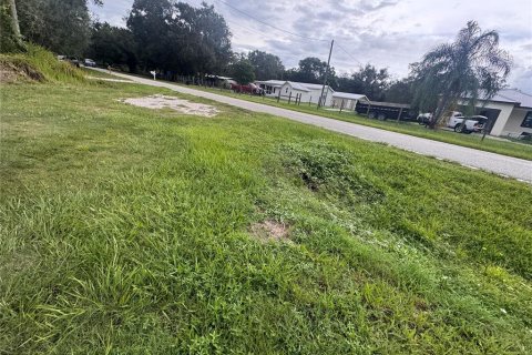Купить земельный участок в Аркадия, Флорида № 1912970 - фото 5