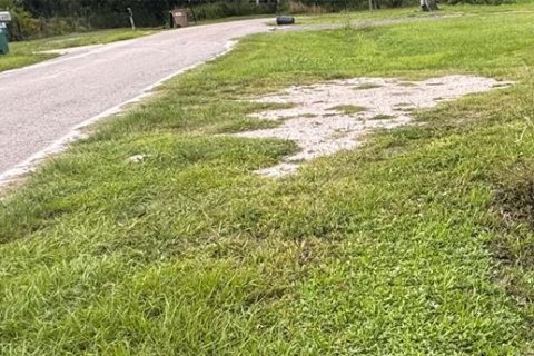 Купить земельный участок в Аркадия, Флорида № 1912970 - фото 7