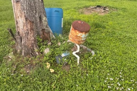 Купить земельный участок в Аркадия, Флорида № 1912970 - фото 3