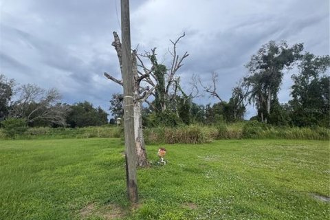 Купить земельный участок в Аркадия, Флорида № 1912970 - фото 2