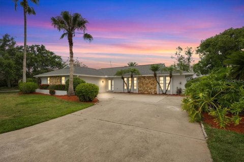 Villa ou maison à New Port Richey, Floride 3 chambres, 177.07 m2 № 2149825