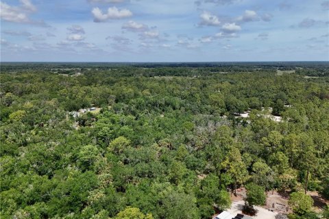 Terrain à vendre à Arcadia, Floride № 2151066 - photo 5