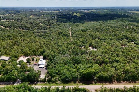 Terrain à vendre à Arcadia, Floride № 2151066 - photo 4