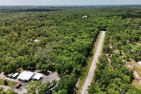 Terrain à vendre à Arcadia, Floride № 2151066 - photo 6