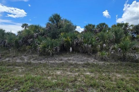 Land in North Port, Florida № 2352233