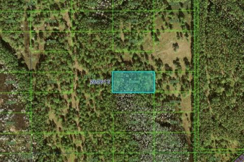 Terreno en Polk City, Florida № 2160721