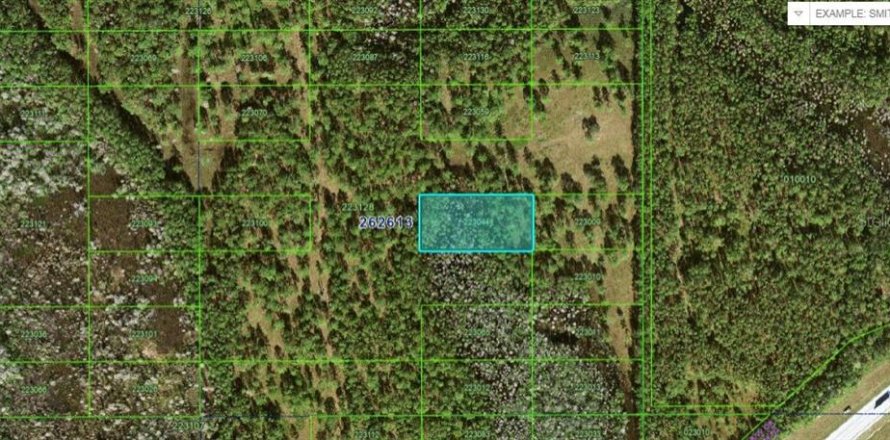 Terrain à Polk City, Floride № 2160721