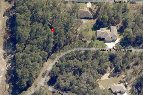 Land in Ocklawaha, Florida № 2162507 - photo 4