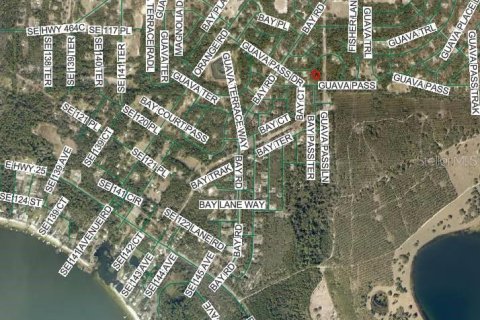 Land in Ocklawaha, Florida № 2162507 - photo 8