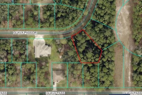 Land in Ocklawaha, Florida № 2162507