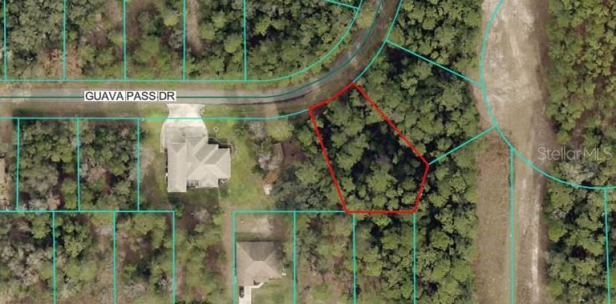 Land in Ocklawaha, Florida № 2162507