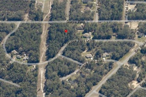 Land in Ocklawaha, Florida № 2162507 - photo 5
