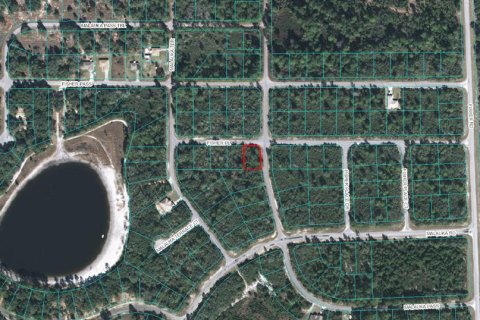 Land in Ocklawaha, Florida № 2212409