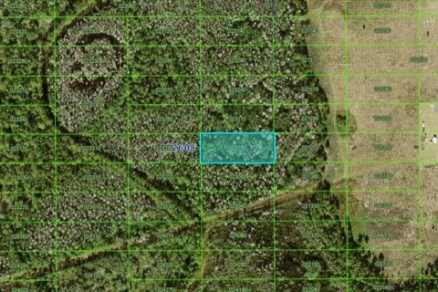 Terreno en Polk City, Florida № 2160728