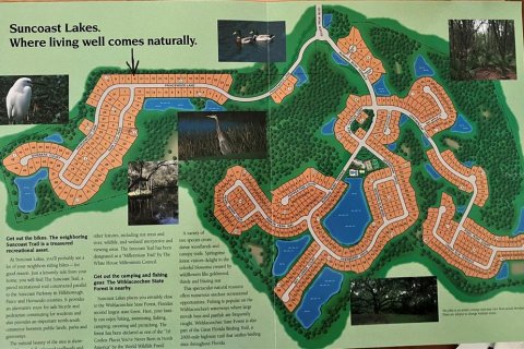 Casa en venta en Land O' Lakes, Florida, 6 dormitorios, 405.7 m2 № 2277470 - foto 3