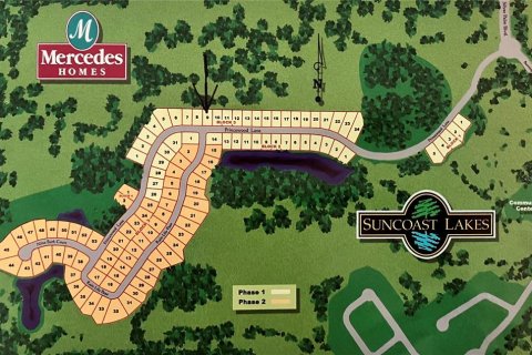 Casa en venta en Land O' Lakes, Florida, 6 dormitorios, 405.7 m2 № 2277470 - foto 4