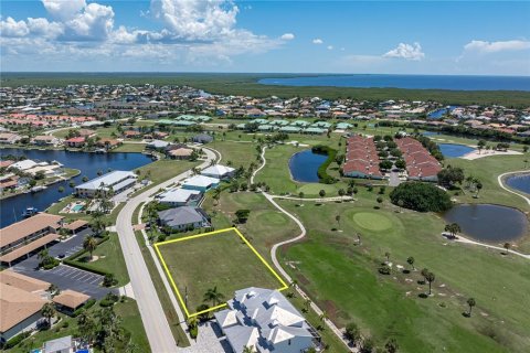 Terrain à vendre à Punta Gorda, Floride № 2339687 - photo 6