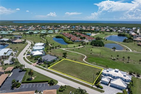 Terrain à vendre à Punta Gorda, Floride № 2339687 - photo 5