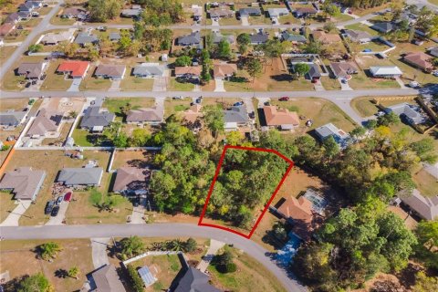 Land in Ocala, Florida № 2280505