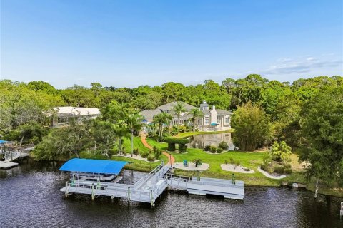 House in New Port Richey, Florida 4 bedrooms, 414.07 sq.m. № 2201933