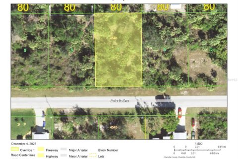 Land in Port Charlotte, Florida № 2162790