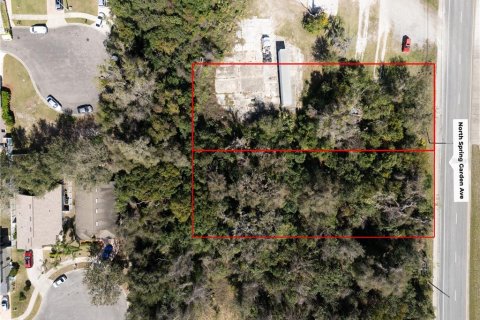 Commercial property in DeLand, Florida № 1724184 - photo 4