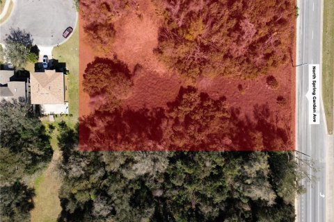 Commercial property in DeLand, Florida № 1724184 - photo 6