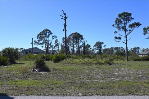 Land in Placida, Florida № 2159164 - photo 2