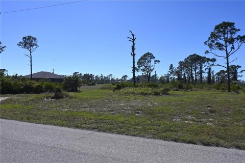 Land in Placida, Florida № 2159164 - photo 3