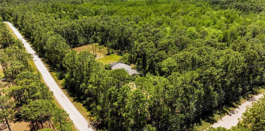 Land in Geneva, Florida № 1650180