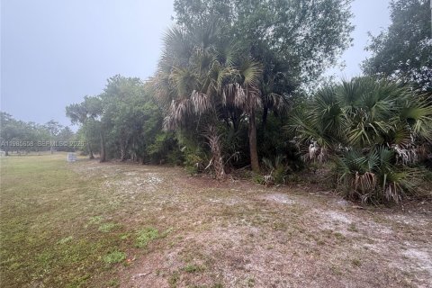 Terreno en venta en Naples, Florida № 2051860 - foto 2