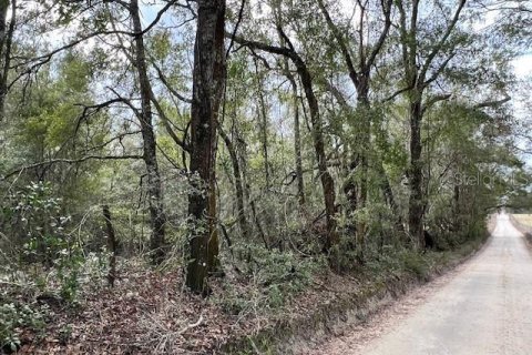 Land in Bell, Florida № 1642554 - photo 3