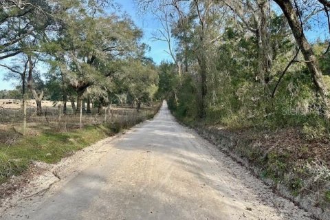 Land in Bell, Florida № 1642554 - photo 10