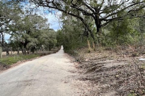 Land in Bell, Florida № 1642554 - photo 14