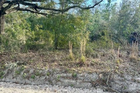 Land in Bell, Florida № 1642554 - photo 11