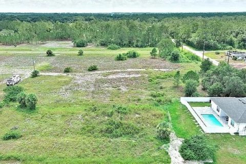 Land in Lehigh Acres, Florida № 2164349 - photo 7